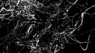 siyah bir arka plan üzerinde hareketli beyaz yuvarlak parçacıkları. alan derinliği ile animasyonlu arka plan. 3D render