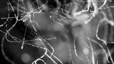 siyah bir arka plan üzerinde hareketli beyaz yuvarlak parçacıkları. alan derinliği ile animasyonlu arka plan. 3D render