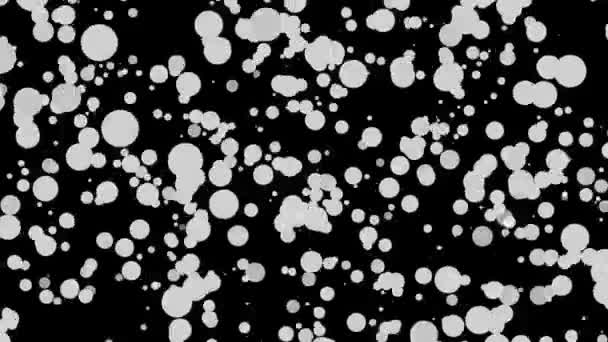 Λευκά Στρογγυλά Σωματίδια Που Κινούνται Πάνω Μαύρο Φόντο Κινούμενο Αφηρημένα — Αρχείο Βίντεο