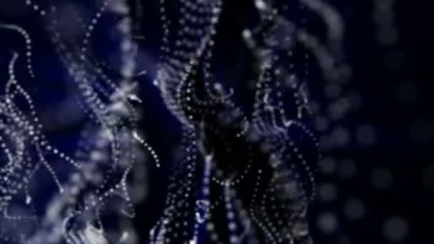 Particelle Bianche Rotonde Con Bagliore Blu Movimento Uno Sfondo Nero — Video Stock