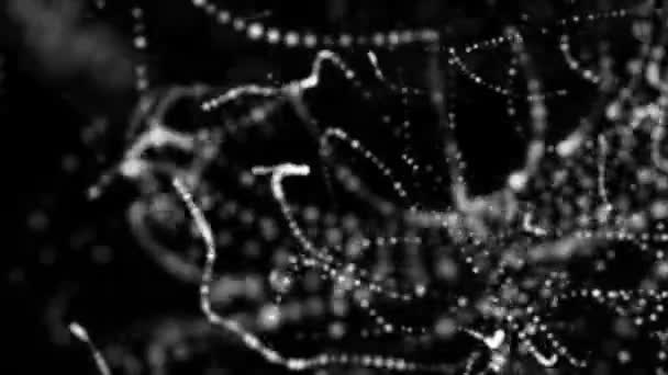Білі Круглі Частинки Рухаються Чорному Тлі Анімований Абстрактний Фон Глибиною — стокове відео