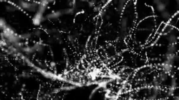 White Particles Moving Black Background Animated Abstract Background Depth Field — Stock Video