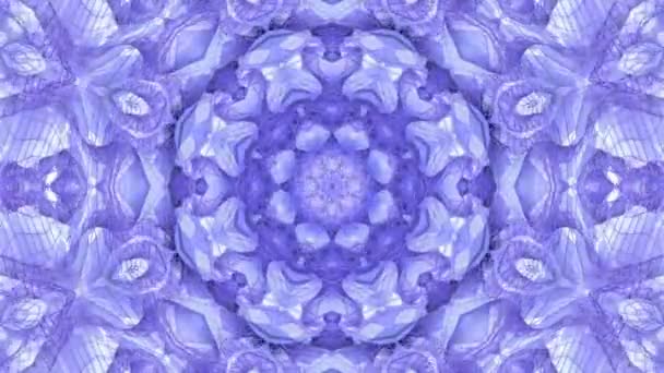 Blue Abstract Animated Background Kaleidoscope Effect Rendering — Stock Video