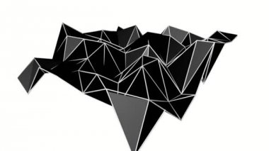 siyah düşük poli deforme uçak. Animasyonlu arka plan. 3D render