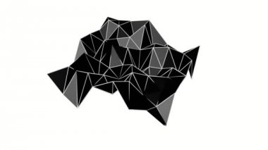 siyah düşük poli deforme uçak. Animasyonlu arka plan. 3D render