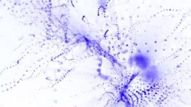 mavi parçacıklar boyutunda yavaş yavaş beyaz bir arka plan karşı olsun. Soyut animasyon. 3D render