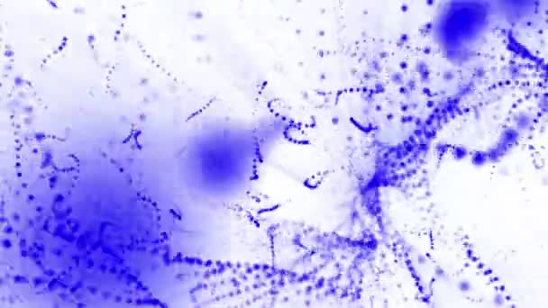 Plano Partículas Azules Oscila Lentamente Sobre Fondo Blanco Animación Abstracta — Vídeos de Stock