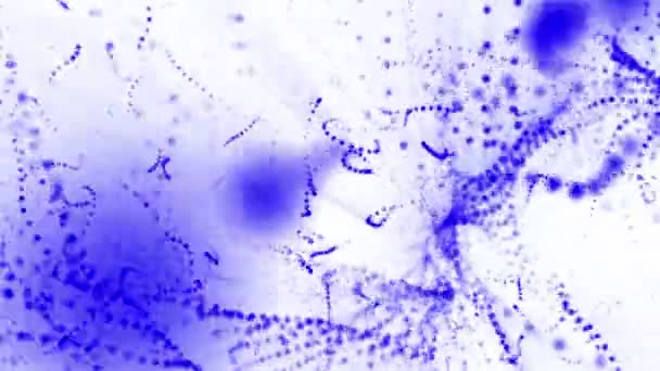 Plane Blue Particles Slowly Oscillates White Background Abstract Animation Rendering — Stock videók