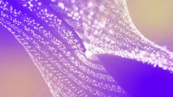 particules blanches se déplacent lentement sur un fond violet. 3D rendu animation abstraite 