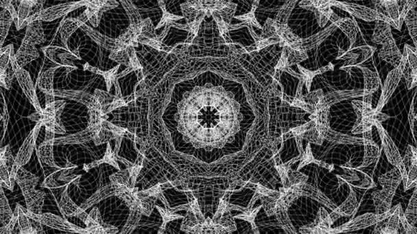 Black White Kaleidoscope Background Abstract Animation Render — Wideo stockowe