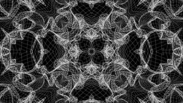 Black White Kaleidoscope Background Abstract Animation Render — Wideo stockowe