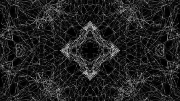 Black White Kaleidoscope Background Abstract Animation Render — Wideo stockowe