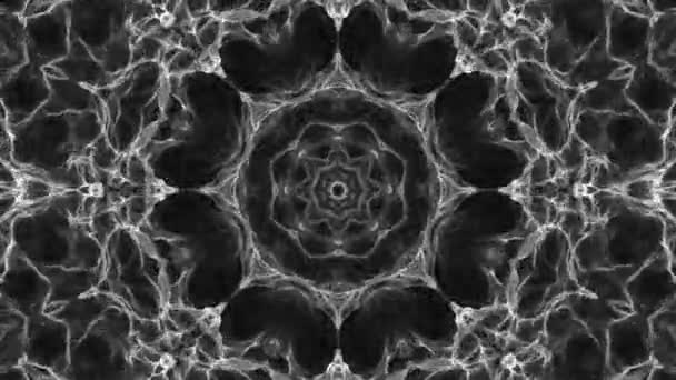 Black White Kaleidoscope Background Abstract Animation Render — 비디오