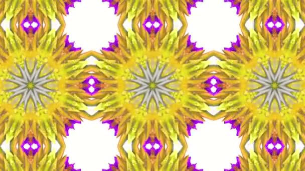 Multicolored Animated Pattern Abstract Kaleidoscope Background Render — Stock Video