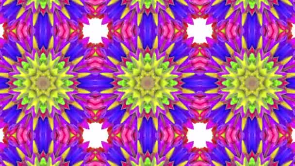 Buntes Animiertes Muster Abstrakter Kaleidoskop Hintergrund Darstellung — Stockvideo