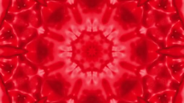 Red Animated Pattern Abstract Kaleidoscope Background Render — Stock Video