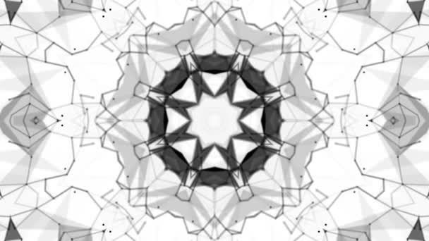 Black Animated Pattern White Background Abstract Kaleidoscope Background Render — Stock Video