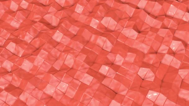 Corail Faible Surface Poly Est Lentement Déformée Animation Abstraite Rendu — Video