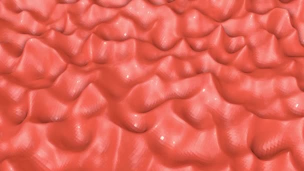 Coral Wave Surface Slowly Deformed Abstract Animation Rendering — Stock Video