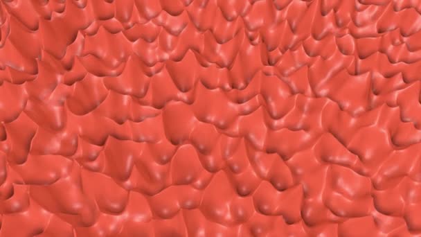 Coral Wave Surface Slowly Deformed Abstract Animation Rendering — Stock Video