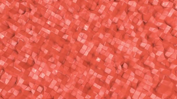 motifs abstraits animés de couleur corail. 3d rendu 