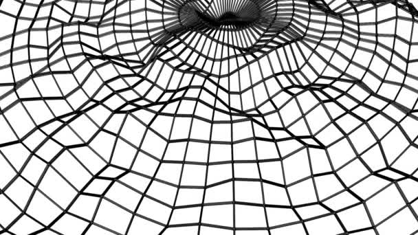 Dreidimensionales Netz Schwarzer Abstraktion Das Sich Langsam Auf Weißem Hintergrund — Stockvideo