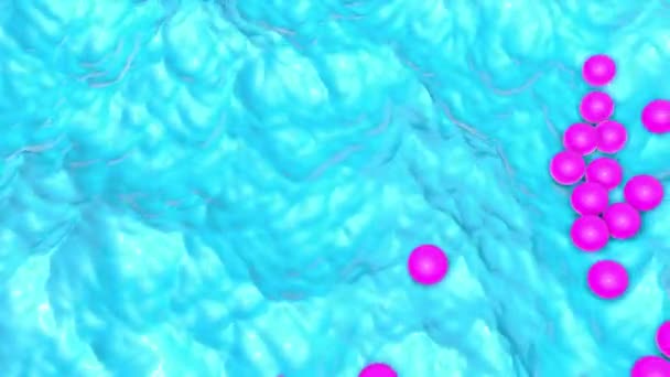 Violette Kugeln Bewegen Sich Auf Einer Türkisfarbenen Wellenoberfläche Animierter Dreidimensionaler — Stockvideo