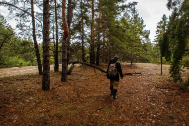Erkek turist Kuzey ormanlarında seyahat. Rus toprakları
