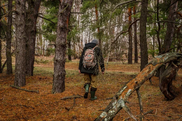 Male tourist travels through the northern forests. Russian lands — Stock Photo, Image