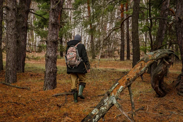 Turista masculino viaja a través de los bosques del norte. Tierras rusas —  Fotos de Stock
