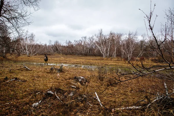 O turista masculino viaja pelas florestas do norte. Terras russas — Fotografia de Stock