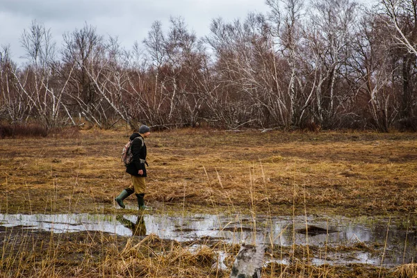 男性游客穿越北方森林。俄罗斯土地 — 图库照片