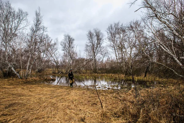 Male tourist travels through the northern forests. Russian lands — Stock Photo, Image