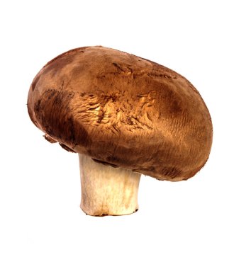 kraliyet büyük champignon. beyaz arka planda