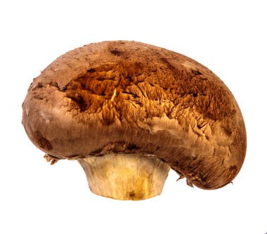 kraliyet büyük champignon. beyaz arka planda