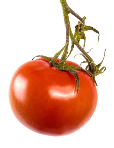 Tomates vermelhos maduros em um ramo. fundo branco — Fotografia de Stock