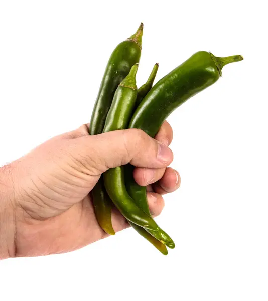 Grön chilipeppar i hanhand. på en vit bakgrund — Stockfoto