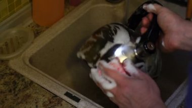 Genç adam mutfak lavabo deterjan ile Kettle yıkar, eller yakın
