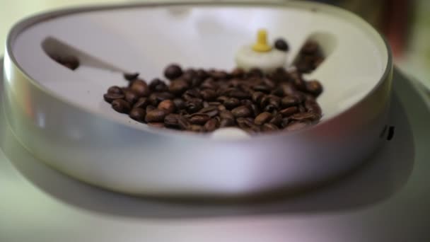 Kaffebryggare Kotletter Doftande Kaffebönor För Morgonkaffe Närbild Slow Motion — Stockvideo