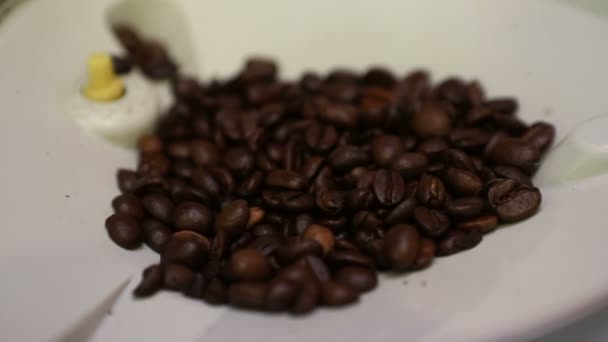コーヒーマシンは 朝のコーヒー クローズアップ スローモーションのための香りの良いコーヒー豆をチョップ — ストック動画