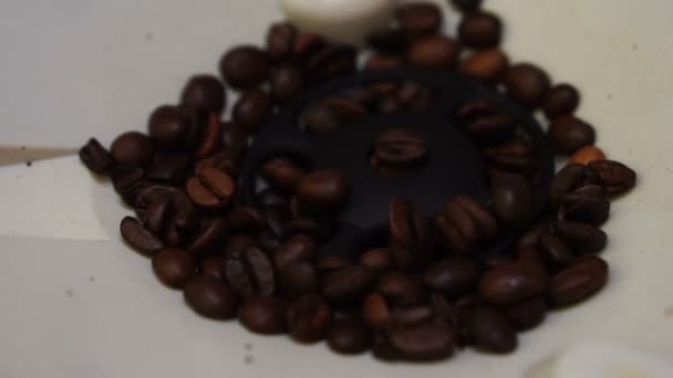 Coffee Machine Chops Fragrant Coffee Beans Morning Coffee Close Slow — Stock Video