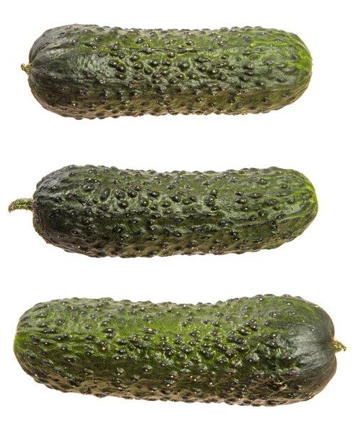 Ripe green cucumber with pimples. on a white — Stock Photo, Image