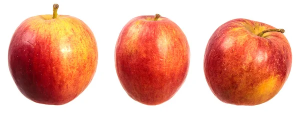 Olgun, lezzetli bir elma. Beyaz üzerine. — Stok fotoğraf