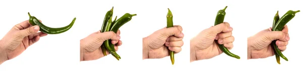 Pimientos chile verde en mano masculina. sobre un fondo blanco. CONJUNTO —  Fotos de Stock