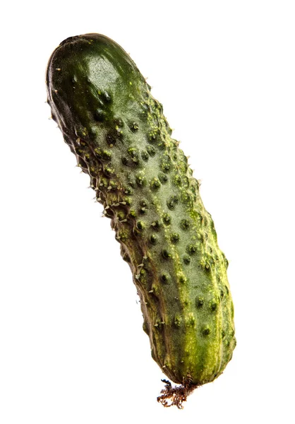 Beyaz Arka Planda Genç Yeşil Salatalıklar — Stok fotoğraf