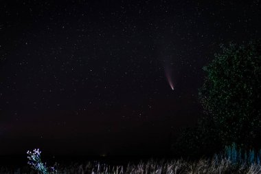 Yıldızlı gece gökyüzünde kuyruklu yıldız neowise.
