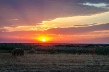 Günaydın bozkır manzarası. Tarlanın üzerinde gün doğumu