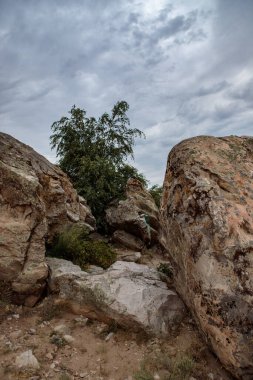Bulutlu bulutlu bir gökyüzünün arka planında kayalık bozkır manzarası