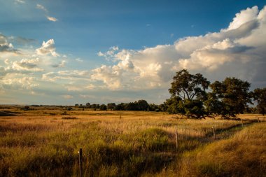 Akşam bozkırlarında mavi gökyüzü ve bulutlarla