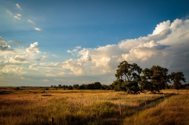 Akşam bozkırlarında mavi gökyüzü ve bulutlarla